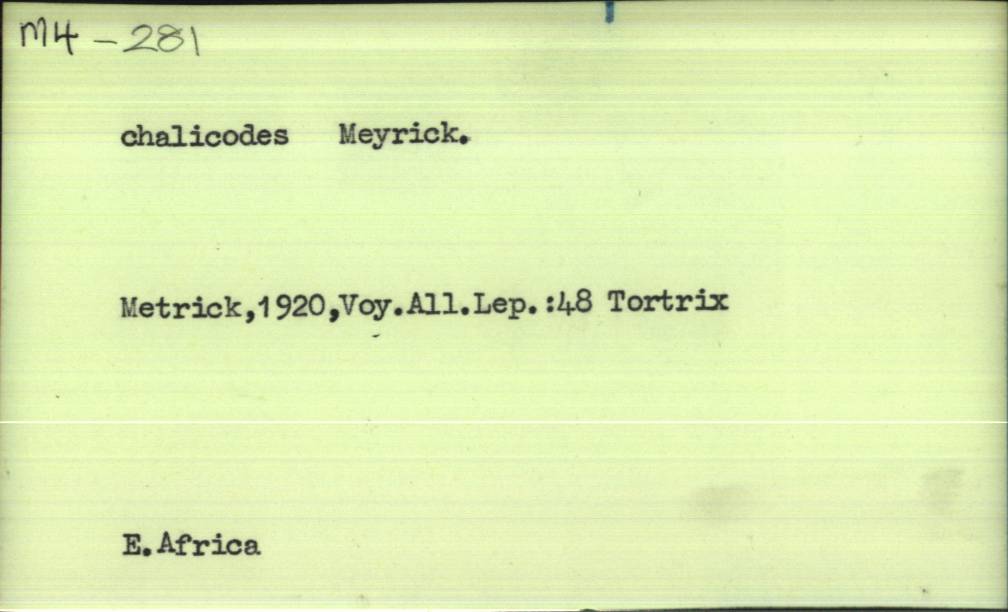 front of card
